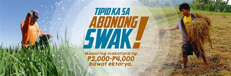 www.philrice.gov.ph careers|Philippine Rice Research Institute .